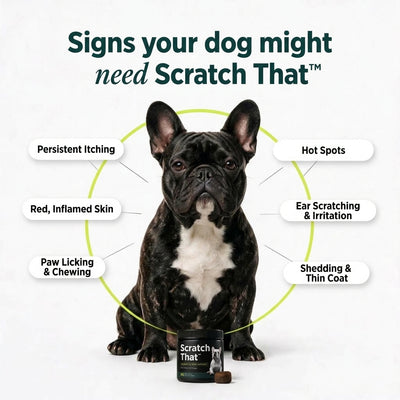 Scratch That™ - Allergy Supplement for Dogs