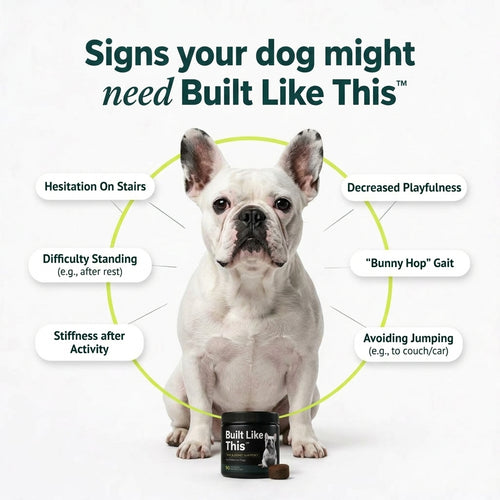 Built Like This™ - Dog Joint Supplement