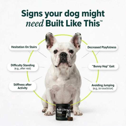 Built Like This™ - Dog Joint Supplement