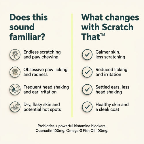 Scratch That™ - Allergy Supplement for Dogs