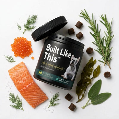 Built Like This™ - Dog Joint Supplement