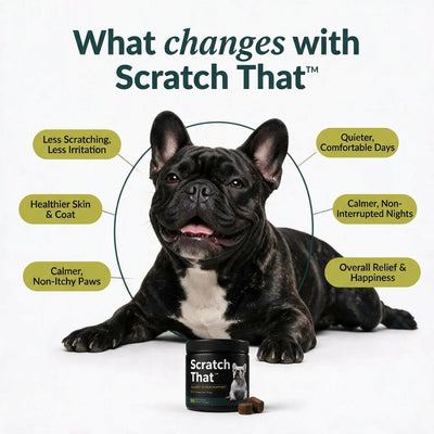 Scratch That™ - Allergy Supplement for Dogs