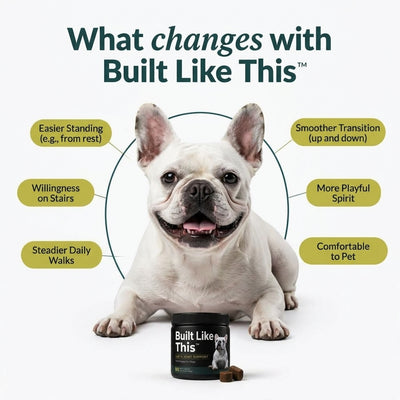 Built Like This™ - Dog Joint Supplement