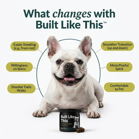 Built Like This™ - Dog Joint Supplement