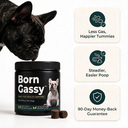 Born Gassy™ - Dog Probiotic Chews