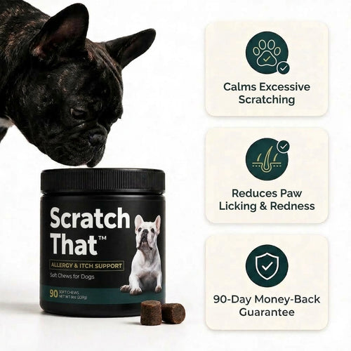 Scratch That™ - Allergy Supplement for Dogs