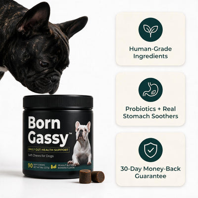 Born Gassy™ - Dog Probiotic Chews