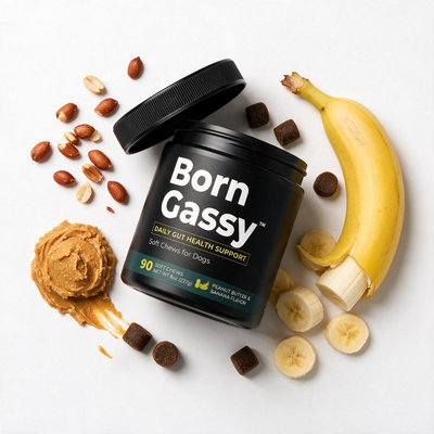 Born Gassy™ - Dog Probiotic Chews