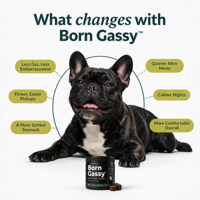 Born Gassy™ - Dog Probiotic Chews