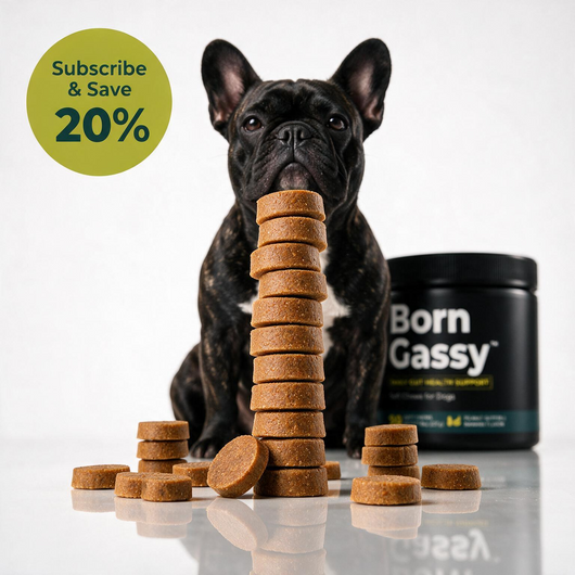 Born Gassy™ - Dog Probiotic Chews